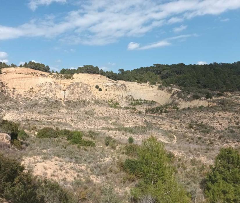 Cemex have worked with the University of Barcelona to design a restoration programme for Pastor Quarry