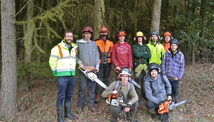 Woodland-management apprentices at Panshanger Park