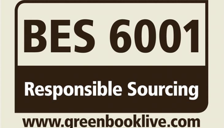 BES 6001 rating