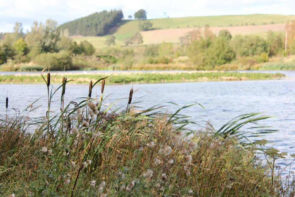Embracing our environmental responsibilities Environmental responsibilities