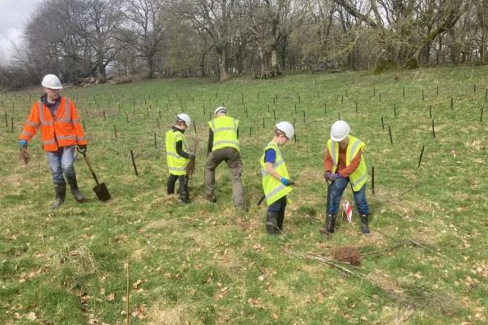 Some of the volunteers planting trees at Aggregate Industries' Hillhead Quarry in Devon