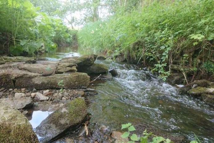 Tarmac’s gravel donation has been a positive addition to rivers and streams in Yorkshire. Photo: Professor Jonathan Grey