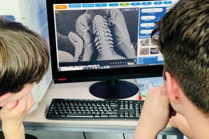 Students using SEM