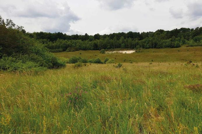 Cemex have adopted a nature positive approach to the environment and restoration