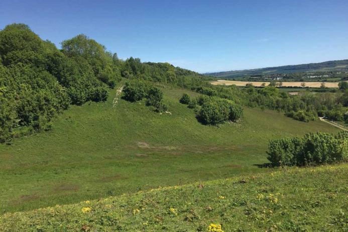 Chalk grassland is mainly found on limestone and in chalk valleys where the soils are lime rich and nutrient poor