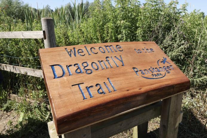 Tarmac-owned Panshanger Park has been named a dragfly hotspot by the British Dragonfly Society