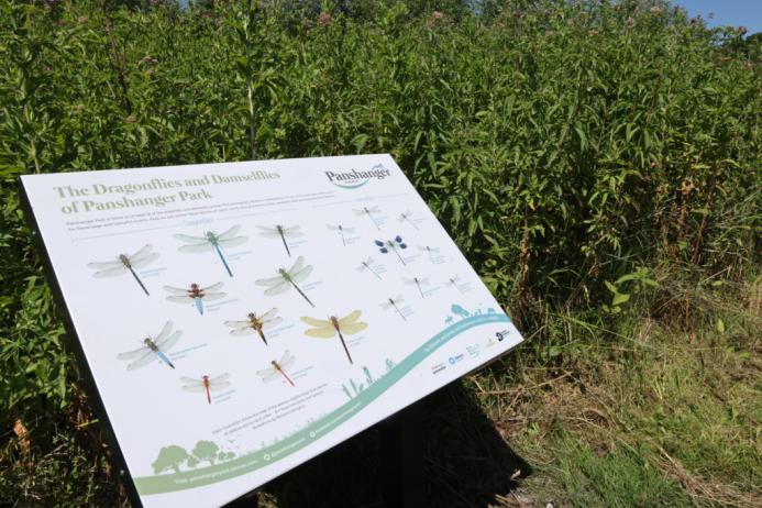 One of the newly installed dragonfly trail interpretation boards