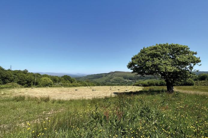 Hygrove’s restoration and biodiversity work are important aspects of their long-term sustainability strategy