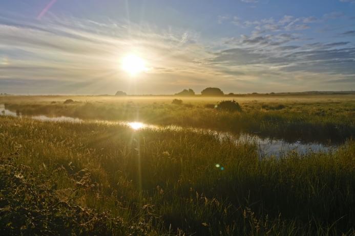 Oare Marshes. Photo: Nadia Ward