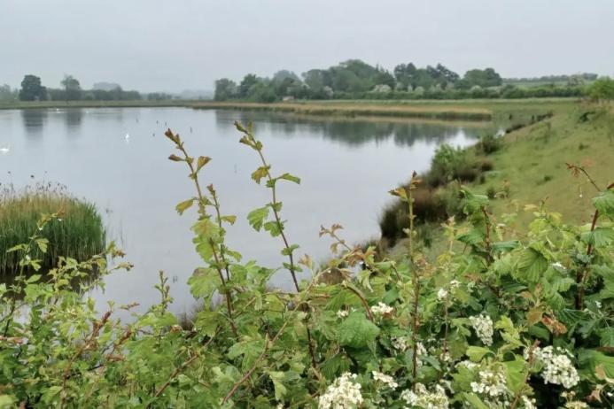 Aggregate Industries UK have published their first company-wide nature strategy