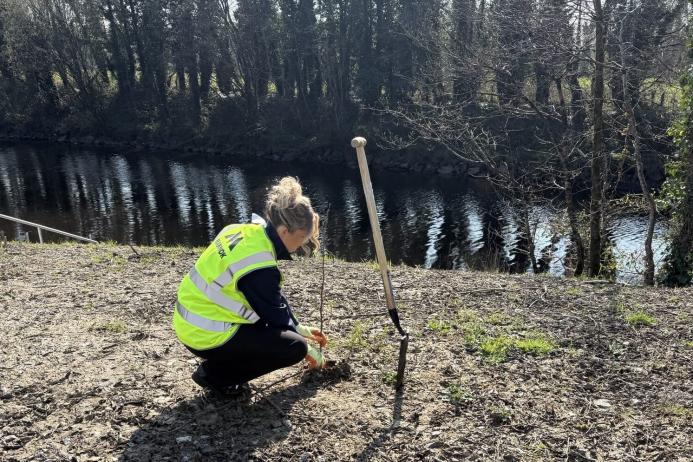 A member of the Biodiversity Committee planting a tree