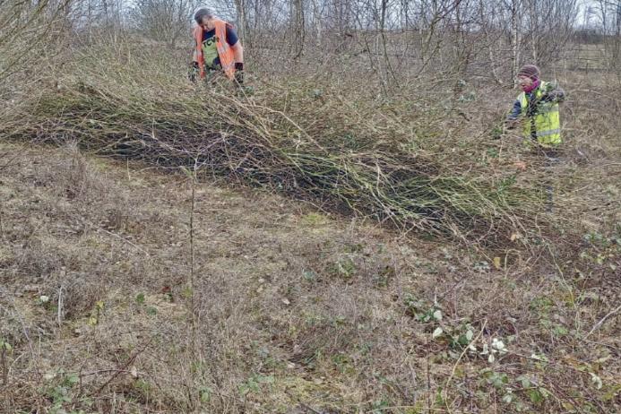 The Conservation Volunteers helping to enhance restored habitats at Mountsorrel Quarry