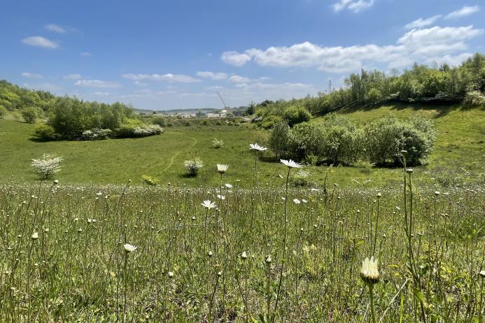 Photo taken at Kensworth Quarry where Cemex have undertaken a significant land restoration programme to enhance biodiversity across the site 