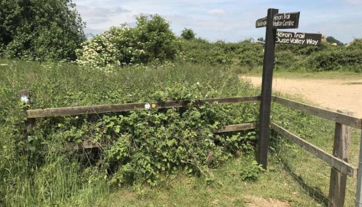 Paxton Pits Heron Trail