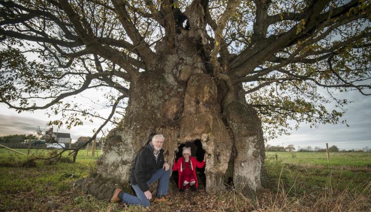 Wickwar quarry manager Frank Hogg and his granddaughter Edith next to the ancient oak tree Ancient oak tree