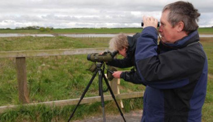 Banks Mining's bird survey