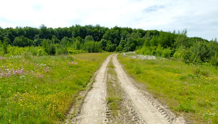 Restored Moss Carr coal site