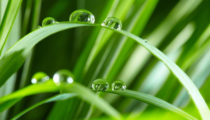 Total have launched the BioLife range of bio-based hydrocarbon solvents in the UK BioLife