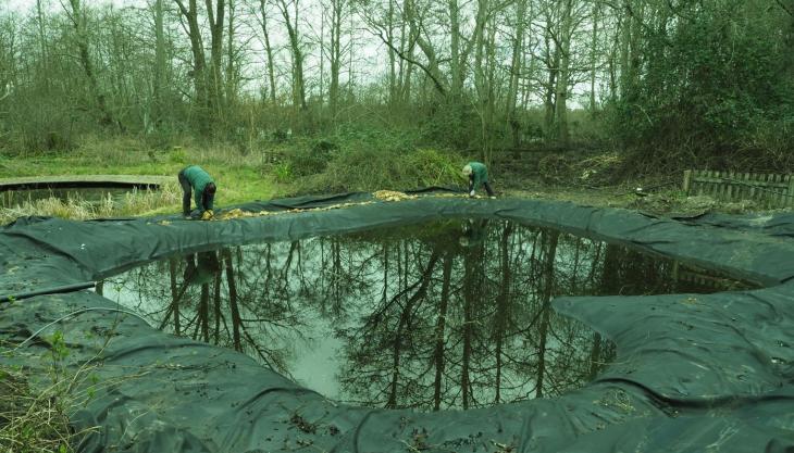 Blashford Lakes dipping pond restoration Dipping pond