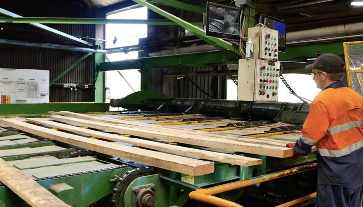 Boral and Australia’s Federal Government to fund feasibility study for second-generation biorefinery Timber biofuel project