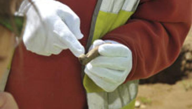 Unique Iron Age whistle found at Brett Aggregates site
