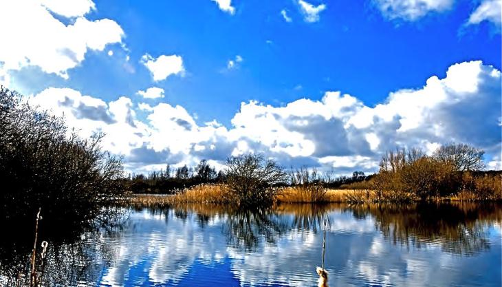 Brett's award-winning Great Stour Way & Hambrook Marshes site