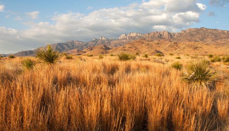 El Carmen conservation area