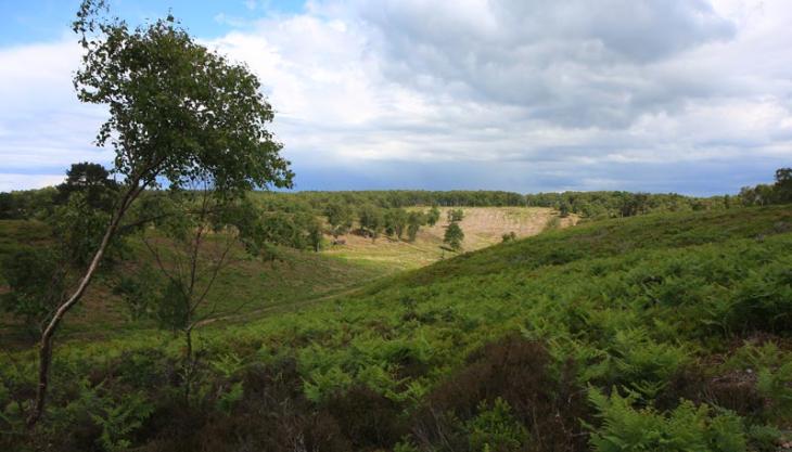 CEMEX's restored Rugeley Quarry