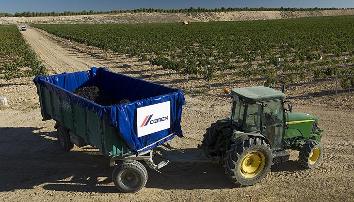Grape harvesting at a former CEMEX quarry in Spain Restored CEMEX quarry