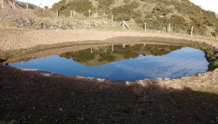 One the new ponds at MQP's Clee Hill Quarry Clee Hill pond