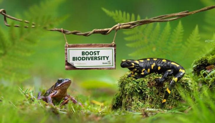 HeidelbergCement launch fourth edition of biodiversity competition HeidelbergCement boost biodiversity