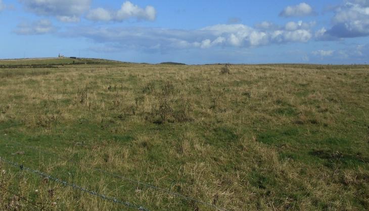 Site of Banks Mining's proposed Highthorn surface mine Highthorn site