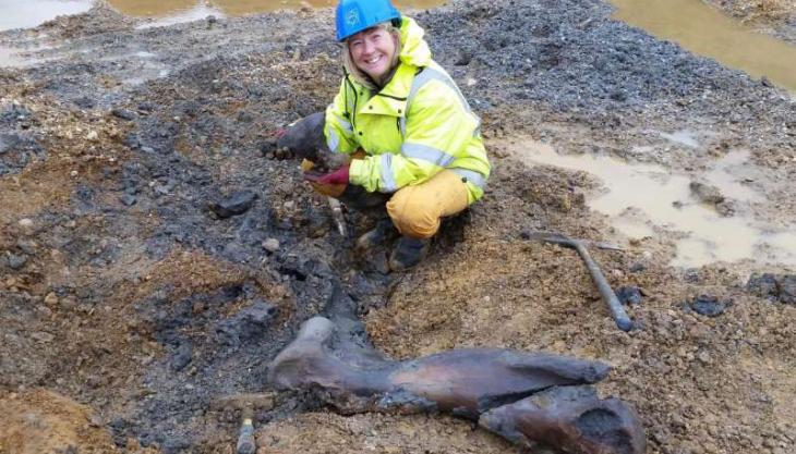 Sally Hollingworth with a mammoth humerus bone. Photo: S Hollingworth Sally Hollingworth