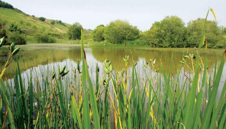 Tarmac's Tunstead site