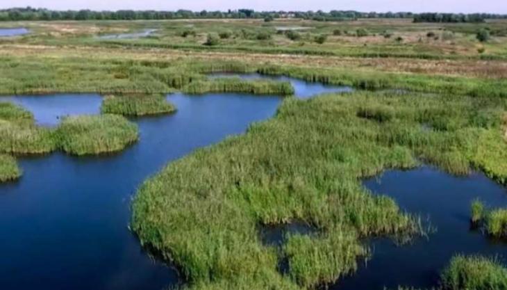 Part of RSPB Ouse Fen in Cambridgeshire RSPB Ouse Fen