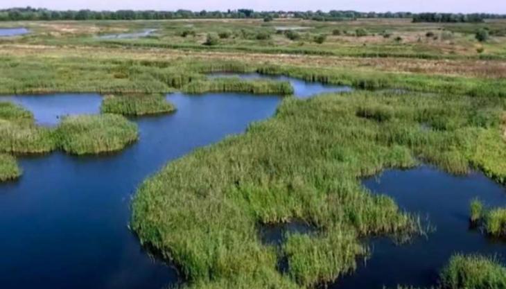 RSPB Ouse Fen