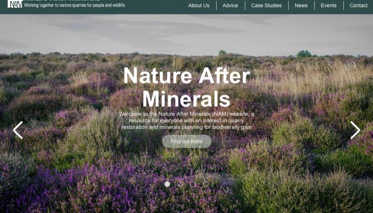 Nature After Minerals