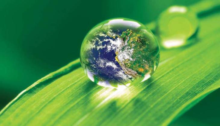 NFDC takes big step towards renewable fuel use NFDC