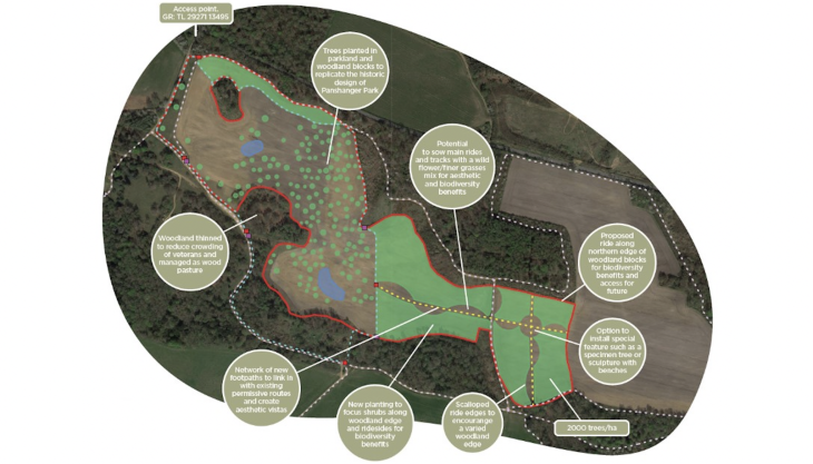 The woodland planting plan for Panshanger Park Planting plan