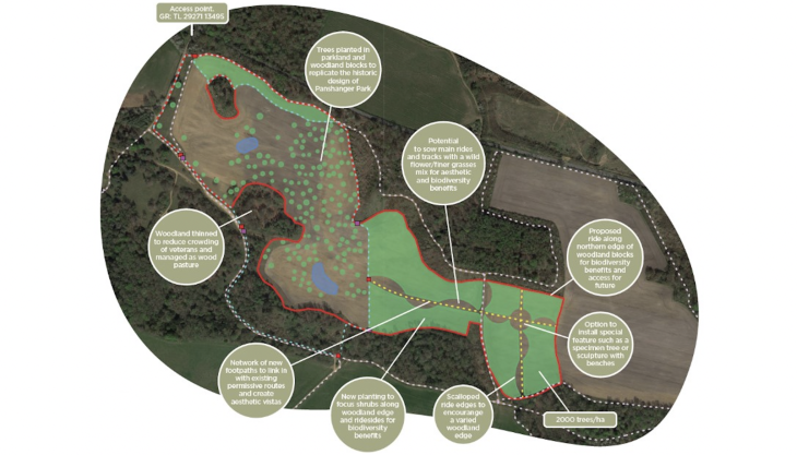 Planting plan