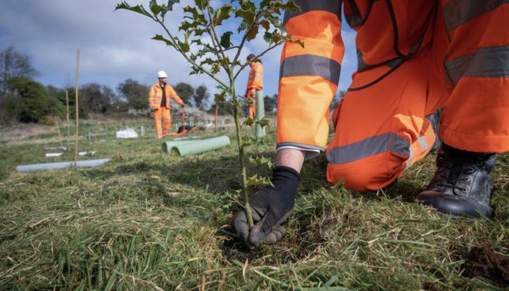 Forterra are planting their new Jubilee Wood on company-owned land near their Kirton brickworks Queen’s Green Canopy