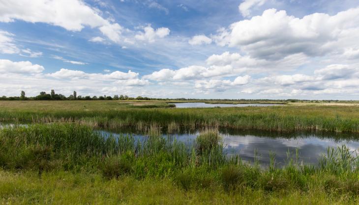 Hanson have launched the fifth round of the Quarry Life Award Needingworth Quarry