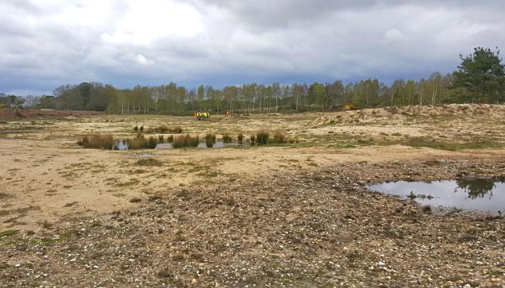 South Heath area of Binnegar Quarry in Dorset South Heath area