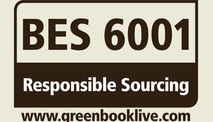 BES 6001 rating BES 6001 rating