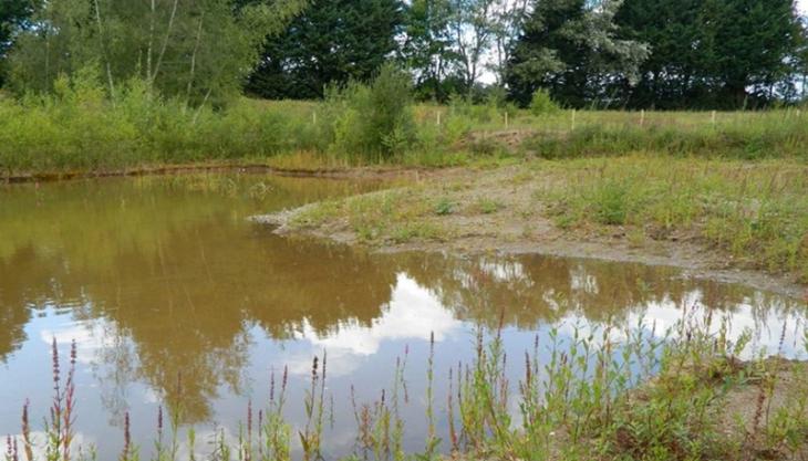 Eardington nature reserve