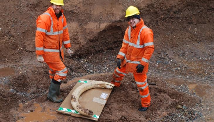 Woolly mammoth tusk unearthed at Tarmac site Woolly mammoth tusk unearthed at Tarmac site