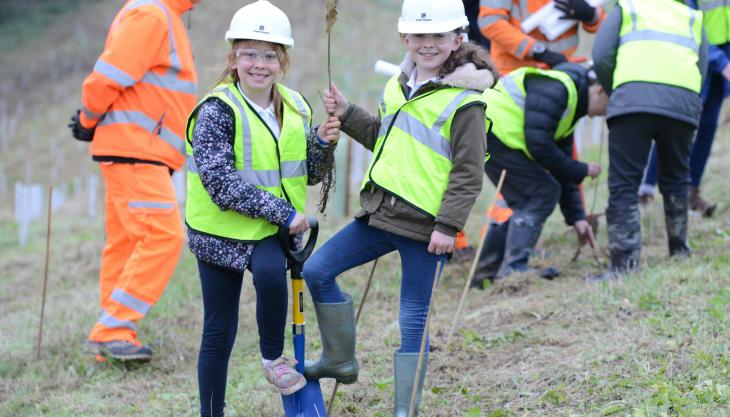 Tree planting