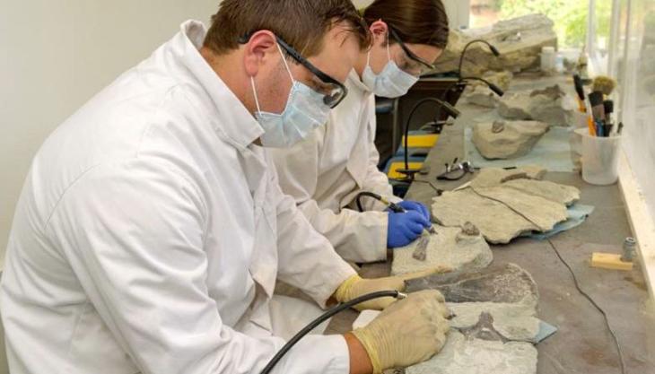 Jamie Jordan and Sarah Moore cleaning dinosaur remains Cleaning dinosaur bones