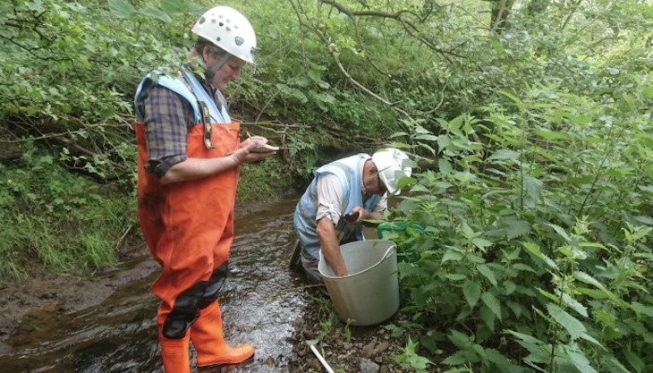 Wild Trout Trust