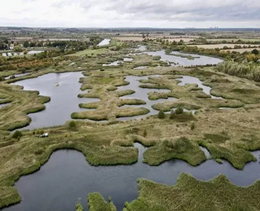 Langford Lowfields